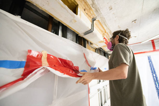 Best Attic Mold Removal  in Kingsville, TX